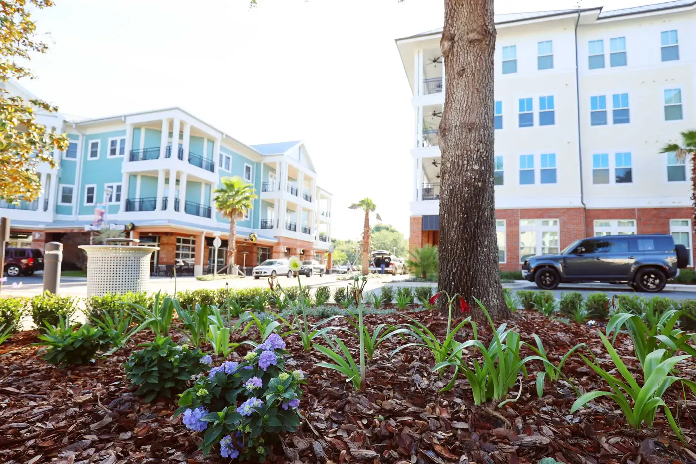 Apartment community entrance beds with blue flowering plants