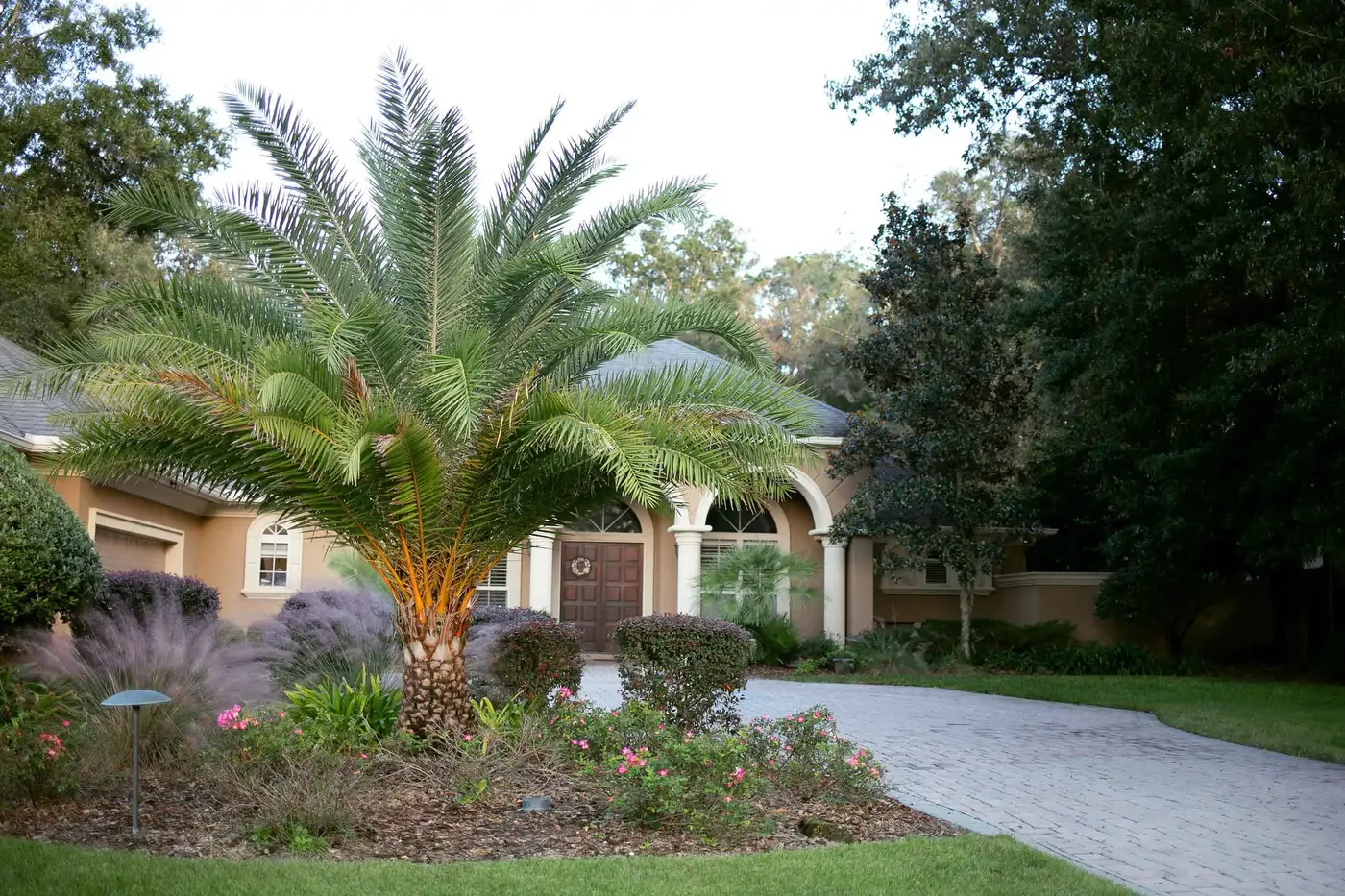 Home entrance with a specimen palm and layered foundation beds
