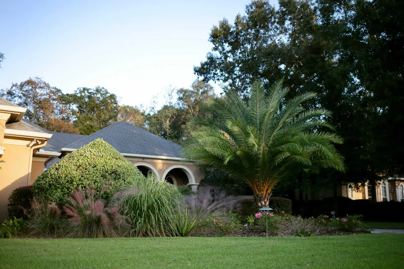 Stucco home with palms, muhly grass and a curved walkway