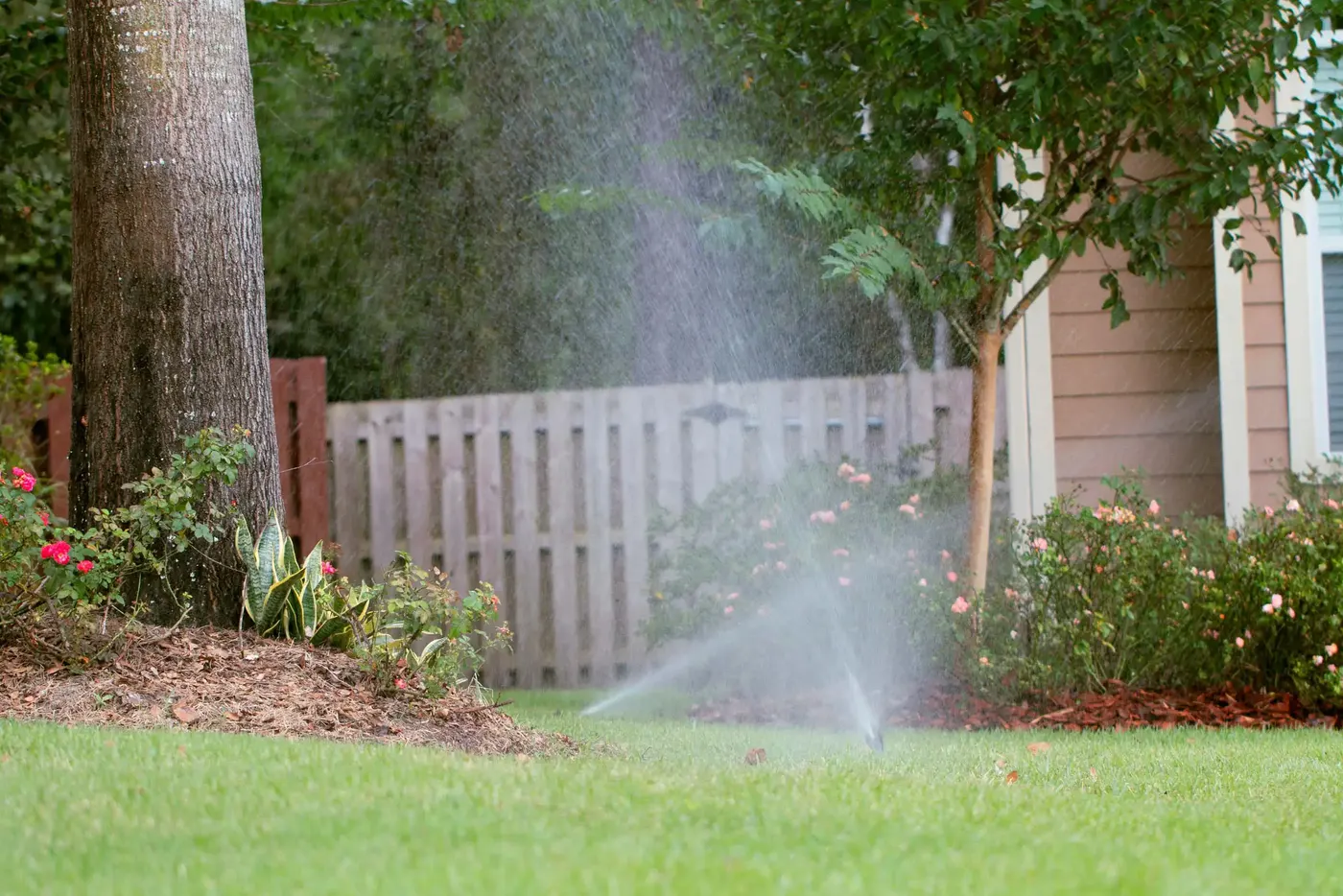 Sprinkler spraying a lawn beside a fence and roses