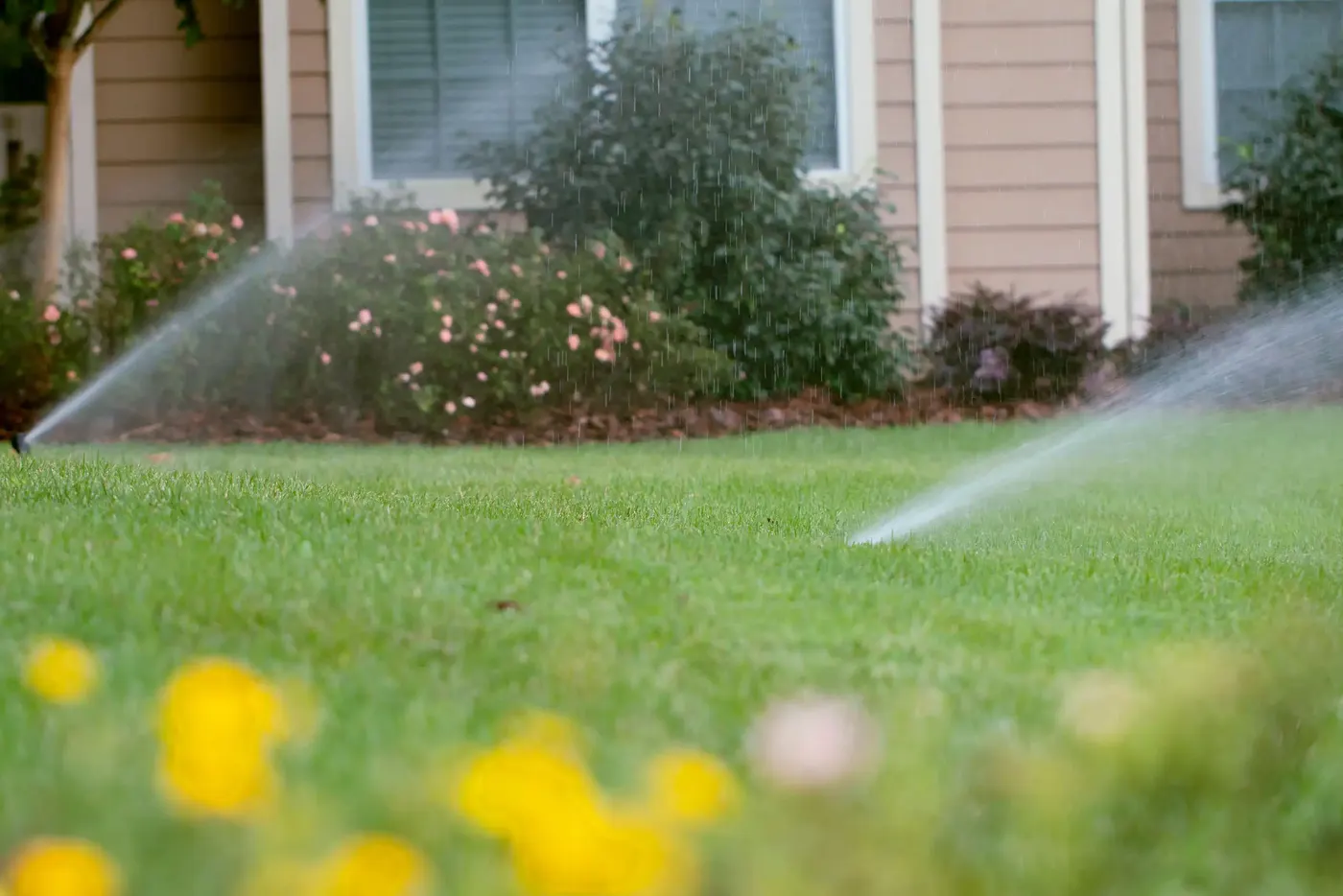 Sprinkler head watering a lawn beside a home