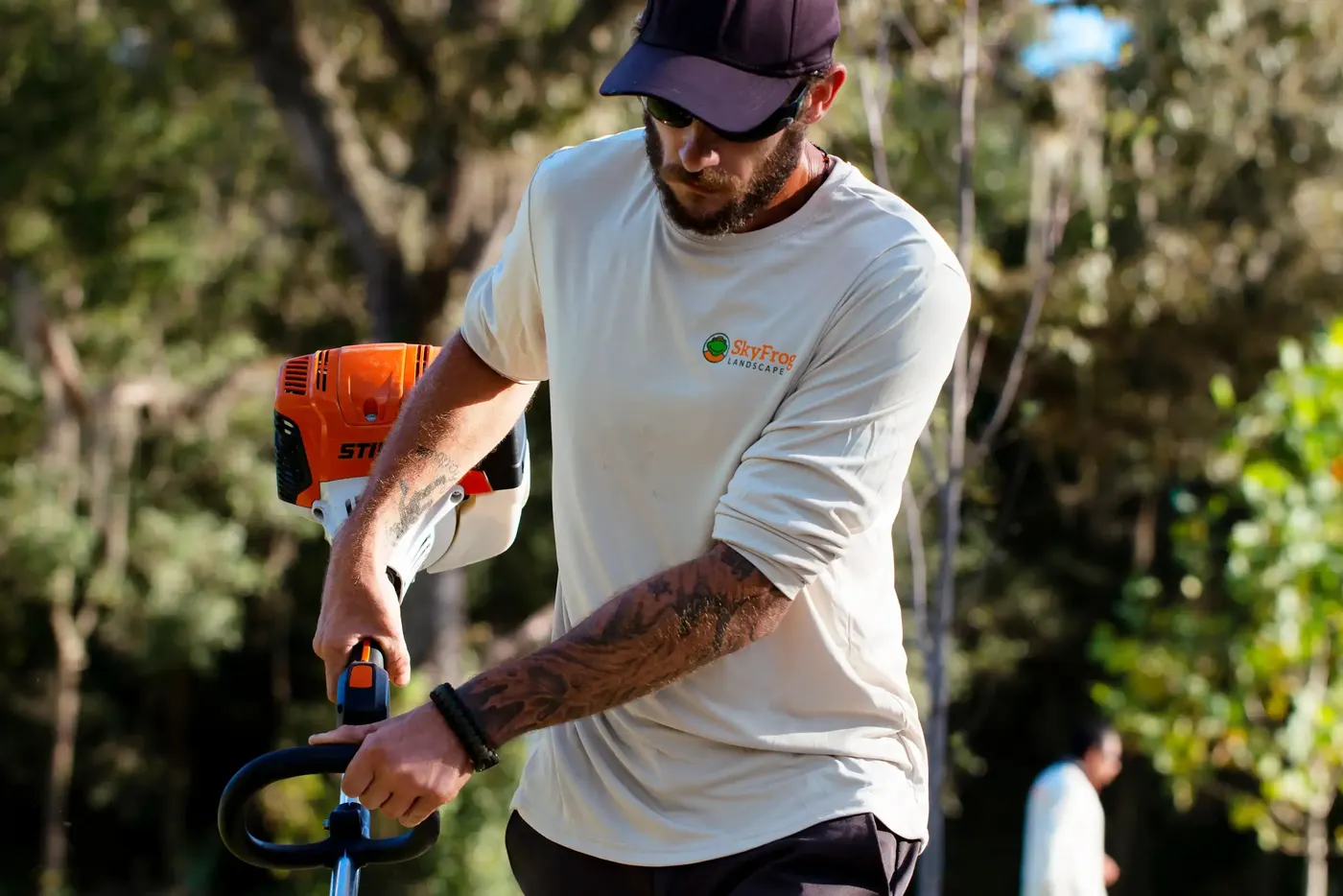 Crew member shaping a hedge with a trimmer