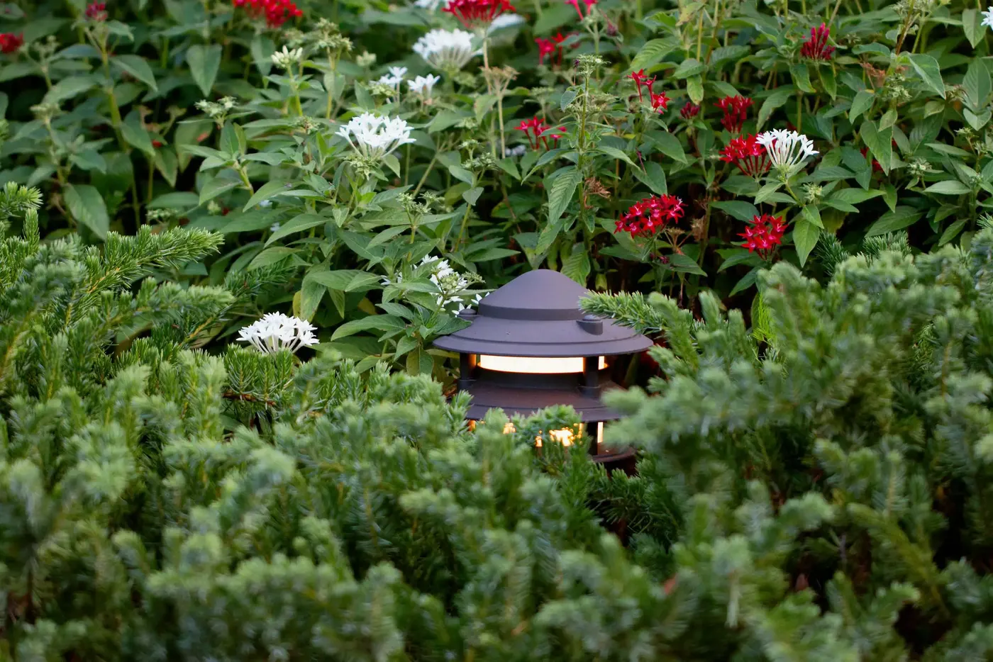 Lantern-style path light among flowering shrubs
