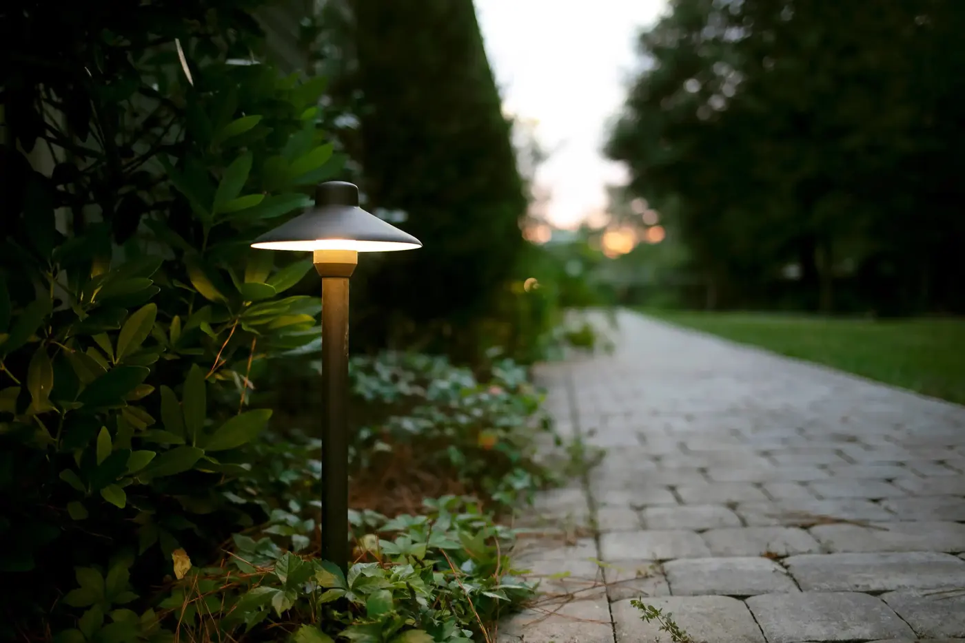 Path light on a paver walkway between clipped hedges at dusk