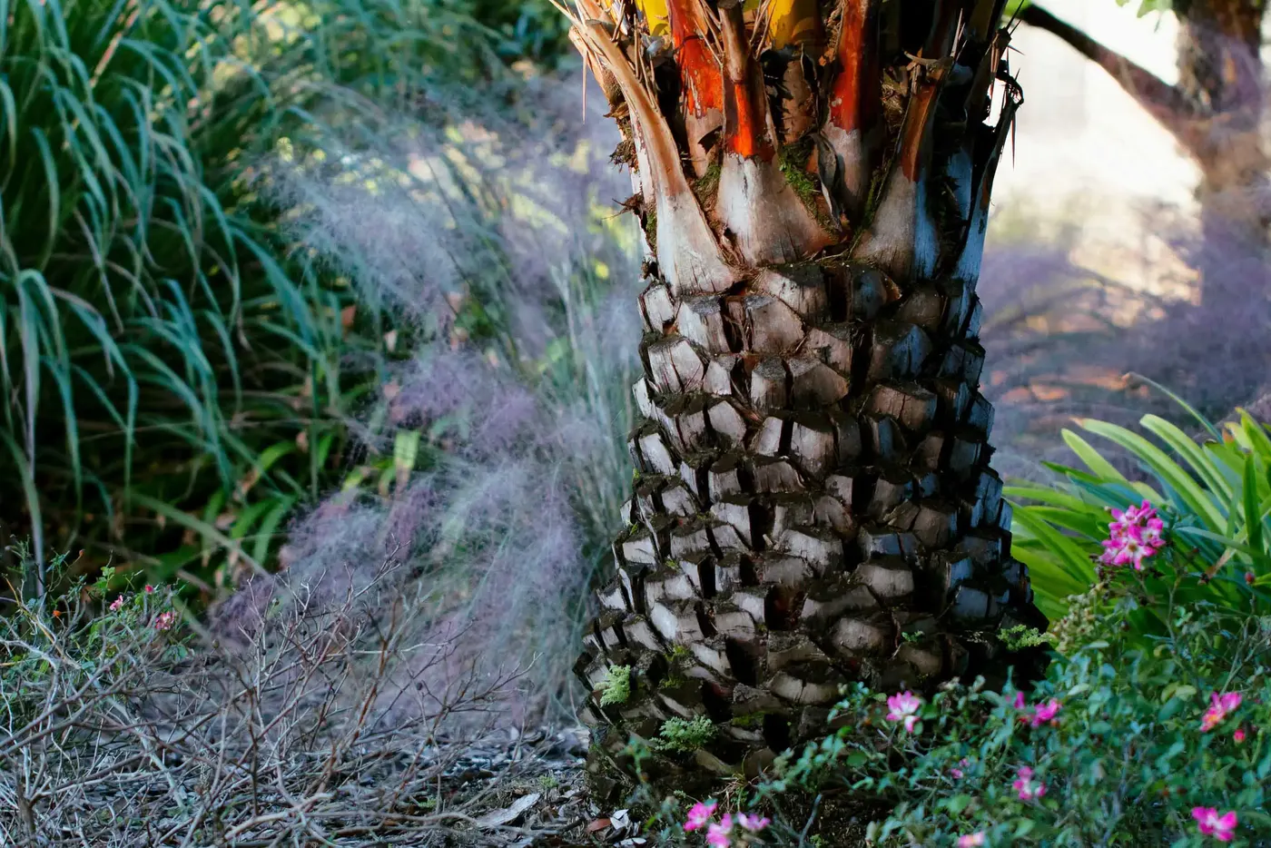 Palm trunk with muhly grass and flowers